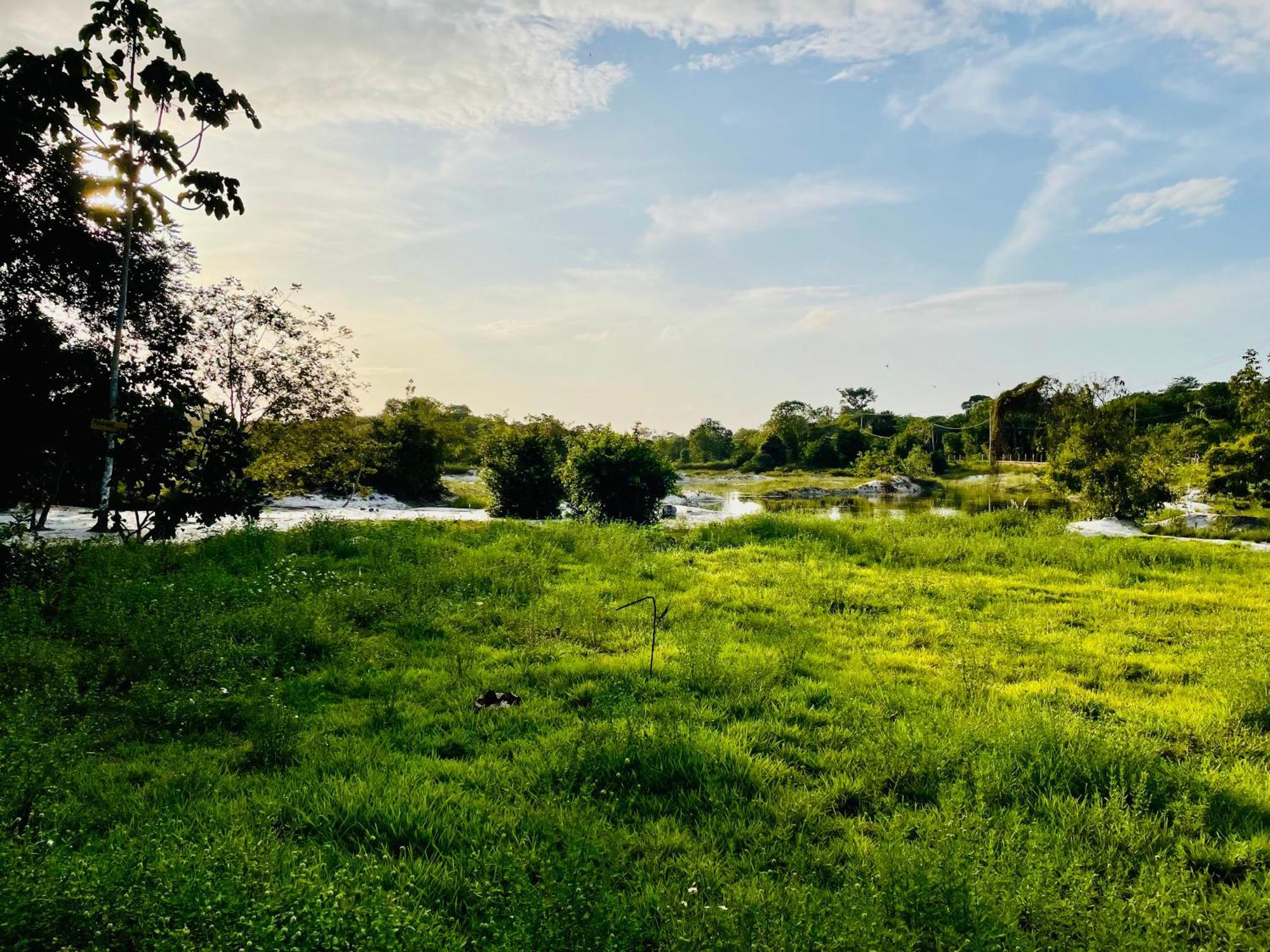 Land Of Promise - Reggae Bar & Eco Village Zanderij 외부 사진
