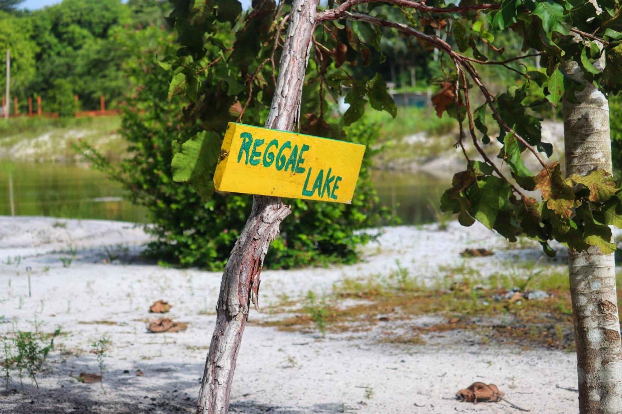 Land Of Promise - Reggae Bar & Eco Village Zanderij 외부 사진